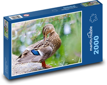 Kaczka na jeziorze Puzzle 2000 elementów - 90x60 cm