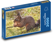 Veverička - hlodavec Puzzle 2000 dielikov - 90 x 60 cm