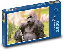 Gorilla - mammal Puzzle 2000 pieces - 90 x 60 cm