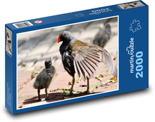 Bahnica obyčajná - vták Puzzle 2000 dielikov - 90 x 60 cm