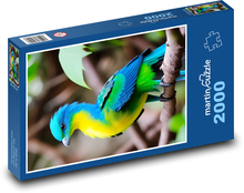 Turako - Vogel Puzzle 2000 Teile - 90 x 60 cm