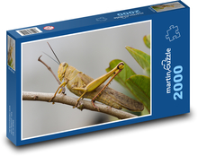 Saranče - hmyz Puzzle 2000 dílků - 90 x 60 cm