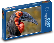 Dzioborożec - ptak Puzzle 2000 elementów - 90x60 cm