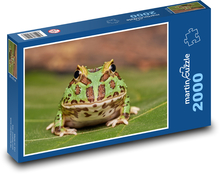 Frog - Amphibian Puzzle 2000 pieces - 90 x 60 cm