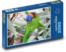 Tęczowa papuga Puzzle 2000 elementów - 90x60 cm