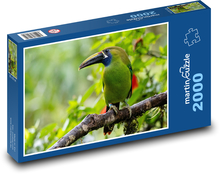 Tukan - vták Puzzle 2000 dielikov - 90 x 60 cm