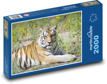Tiger Puzzle 2000 pieces - 90 x 60 cm