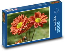 Astra - Blume Puzzle 2000 Teile - 90 x 60 cm
