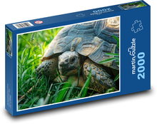 Turtle in the meadow Puzzle 2000 pieces - 90 x 60 cm