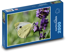White butterfly Puzzle 2000 pieces - 90 x 60 cm
