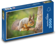 Veverička stromová Puzzle 2000 dielikov - 90 x 60 cm