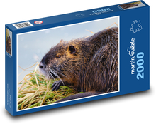 Nutrie Puzzle 2000 dielikov - 90 x 60 cm
