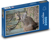 Hirsch Puzzle 2000 Teile - 90 x 60 cm