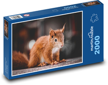 Zardzewiała wiewiórka Puzzle 2000 elementów - 90x60 cm