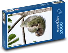 Lenochod Puzzle 2000 dílků - 90 x 60 cm