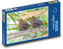 Motýle Puzzle 2000 dielikov - 90 x 60 cm