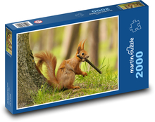 Wiewiórka Puzzle 2000 elementów - 90x60 cm