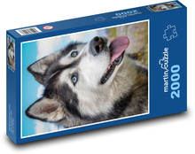 Für Hunde Puzzle 2000 Teile - 90 x 60 cm