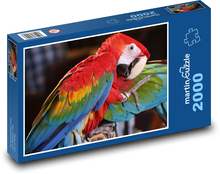 Ara Papagei Puzzle 2000 Teile - 90 x 60 cm