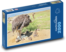 Pštros - vták Puzzle 2000 dielikov - 90 x 60 cm