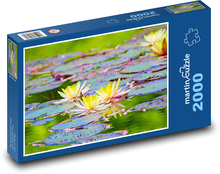 Water lily - water Puzzle 2000 pieces - 90 x 60 cm