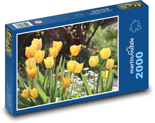 Žluté tulipány Puzzle 2000 dílků - 90 x 60 cm
