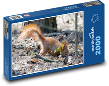 Squirrel Puzzle 2000 pieces - 90 x 60 cm