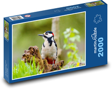 Strakapoud large - woodpecker Puzzle 2000 pieces - 90 x 60 cm