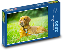 Labrador - Hund Puzzle 2000 Teile - 90 x 60 cm