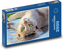 Kot ścienny Puzzle 2000 elementów - 90x60 cm