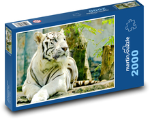 Tygrys ussuryjski Puzzle 2000 elementów - 90x60 cm