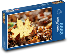 Javorový list Puzzle 2000 dílků - 90 x 60 cm