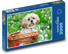 Pes Puzzle 2000 dielikov - 90 x 60 cm