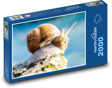 schnecke Puzzle 2000 Teile - 90 x 60 cm