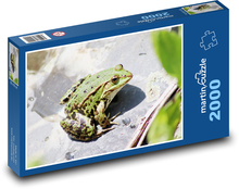 Żaba - płaz Puzzle 2000 elementów - 90x60 cm