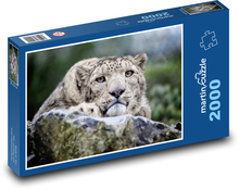 Leopard Puzzle 2000 dílků - 90 x 60 cm