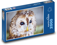 Owl - bird Puzzle 2000 pieces - 90 x 60 cm