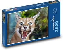 Caracal - the beast Puzzle 2000 pieces - 90 x 60 cm