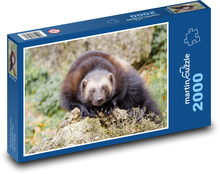 Bärenmarder Puzzle 2000 Teile - 90 x 60 cm