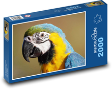 Parrot - bird Puzzle 2000 pieces - 90 x 60 cm