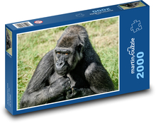 Goryl zachodni Puzzle 2000 elementów - 90x60 cm