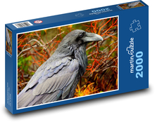 Havran - vták Puzzle 2000 dielikov - 90 x 60 cm