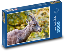 Koziorożec - koza Puzzle 2000 elementów - 90x60 cm
