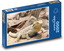 Jašterica - plaz Puzzle 2000 dielikov - 90 x 60 cm