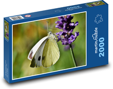 Butterfly on lavender Puzzle 2000 pieces - 90 x 60 cm