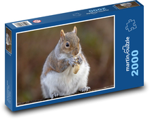 Squirrel and peanut Puzzle 2000 pieces - 90 x 60 cm