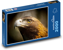 Adler - ein Raubvogel Puzzle 2000 Teile - 90 x 60 cm