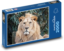 Lion with a big mane Puzzle 2000 pieces - 90 x 60 cm