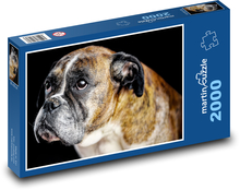 Boxer - pes Puzzle 2000 dílků - 90 x 60 cm