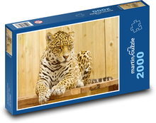 Jaguar - dziki kot Puzzle 2000 elementów - 90x60 cm